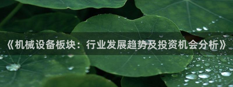 金年会体育买球app下载：《机械设备板块：行业发展趋势及投资机会分析》