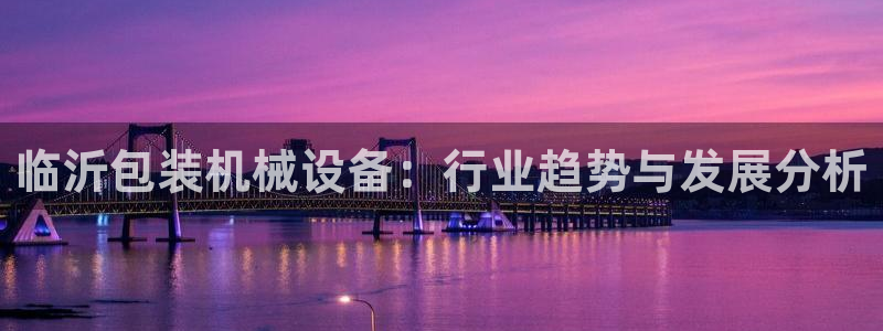 金年会电子游戏：临沂包装机械设备：行业趋势与发展分析