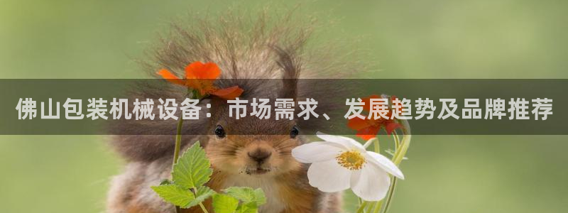 金年会官方体育频道直播：佛山包装机械设备：市场需求、发展趋势及品牌推荐