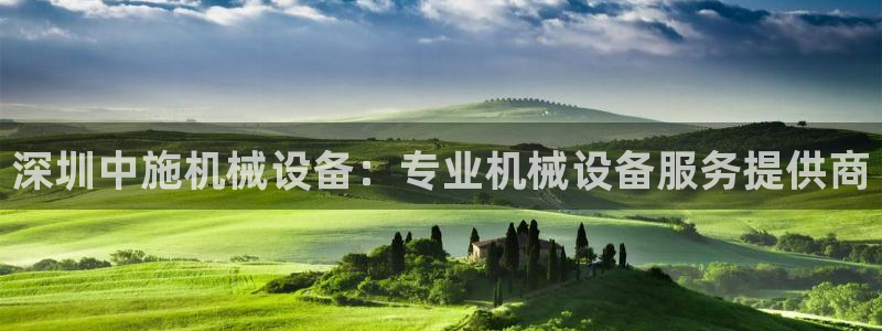 金年会jinnianhuicom：深圳中施机械设备：专业机械设备服务提供商