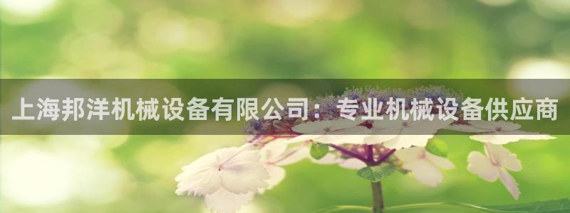 金年会信誉第一：上海邦洋机械设备有限公司：专业机械设备供应商