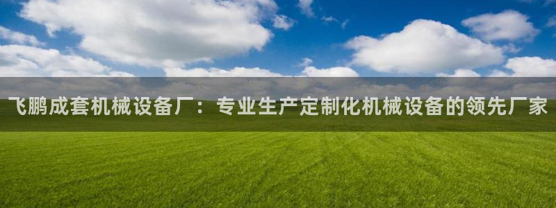 金年会下载：飞鹏成套机械设备厂：专业生产定制化机械设备的领先厂家