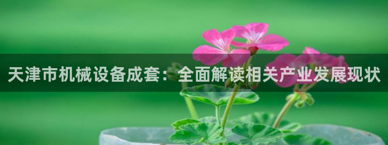金年会体育官方微博：天津市机械设备成套：全面解读相关产业发展现状