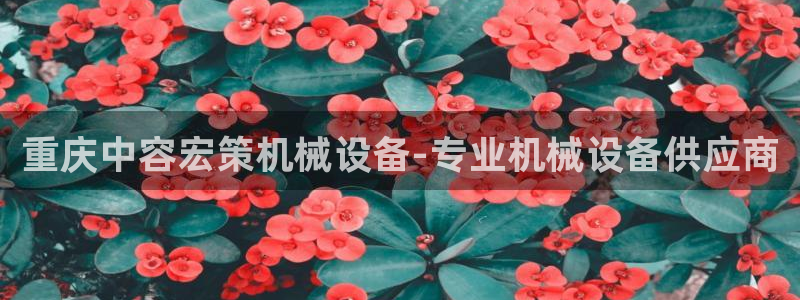 金年会官方进入2023：重庆中容宏策机械设备-专业机械设备供应商