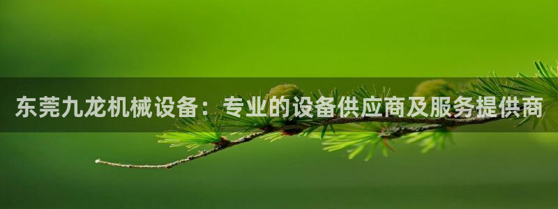 金年会com：东莞九龙机械设备：专业的设备供应商及服务提供商