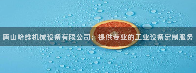 金年会入口登录：唐山哈维机械设备有限公司：提供专业的工业设备定制服务