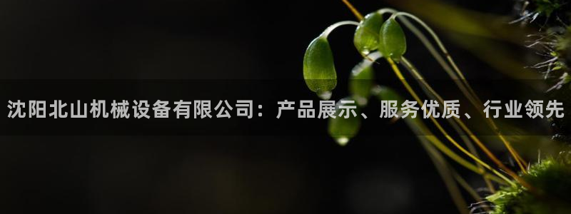 金年会体育平台连接下载：沈阳北山机械设备有限公司：产品展示、服务优质、行业领先