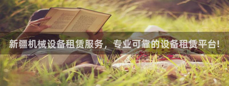 金年会官网登入：新疆机械设备租赁服务，专业可靠的设备租赁平台!