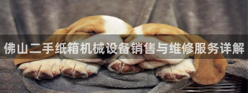 金年会电子游戏app官方