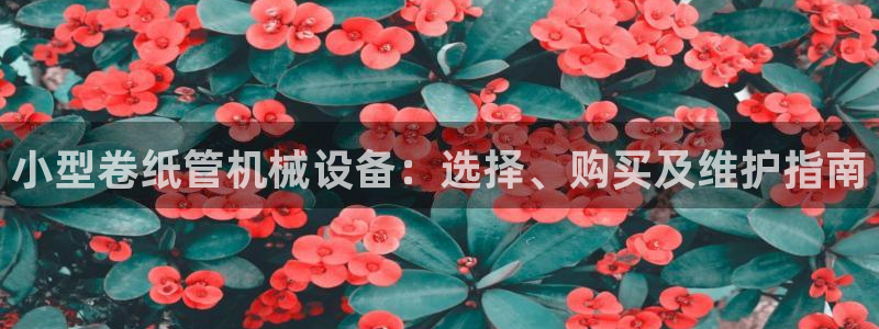 jinnianhui金年会195：小型卷纸管机械设备：选择、购买及维护指南
