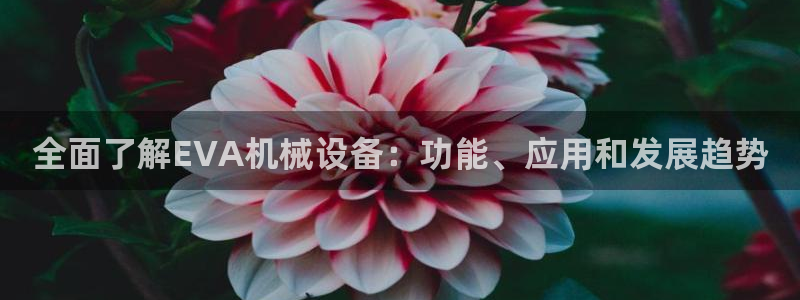 金年会信誉至上金字招牌：全面了解EVA机械设备：功能、应用和发展趋势