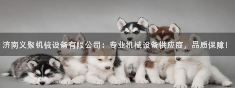 金年会体育出款审核七天：济南义聚机械设备有限公司：专业机械设备供应商，品质保障！