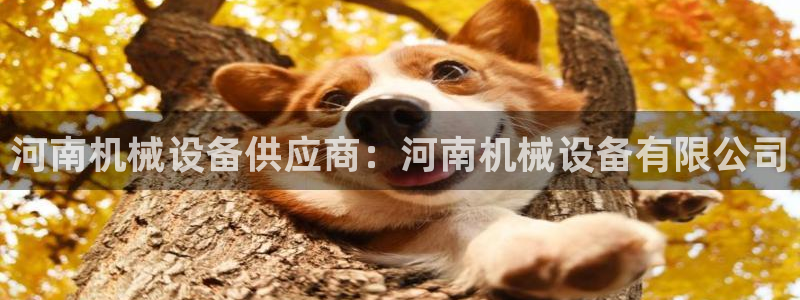金年会app官网登录：河南机械设备供应商：河南机械设备有限公司
