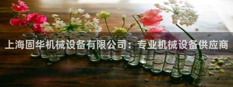 金年会体育买球app下载：上海固华机械设备有限公司：专业机械设备供应商