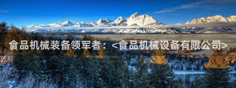 金年会手机版官方网站：食品机械装备领军者：<食品机械设备有限公司>