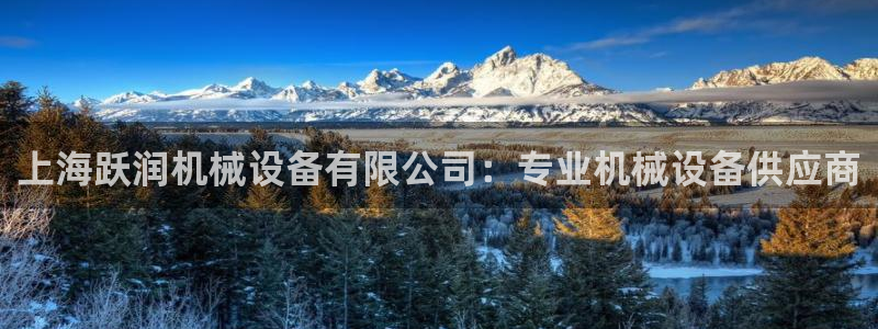 金年会网站拒绝出款怎么办?：上海跃润机械设备有限公司：专业机械设备供应商