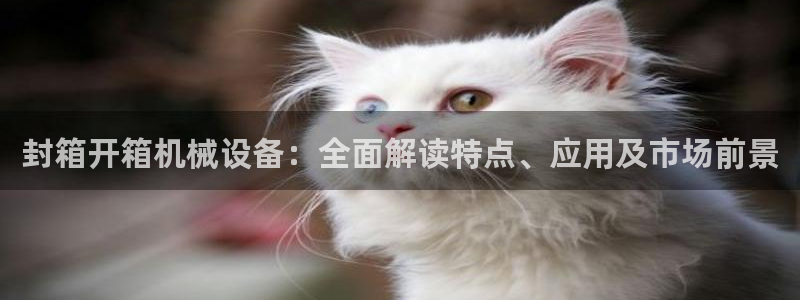 金年会体育出款被要求安全认证怎么办：封箱开箱机械设备：全面解读特点、应用及市场前景