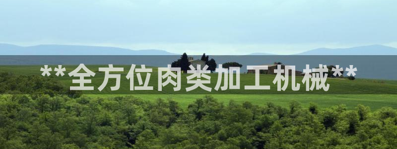 金年会赌博官网：**全方位肉类加工机械**
