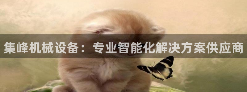 金年会体育下载APP：集峰机械设备：专业智能化解决方案供应商