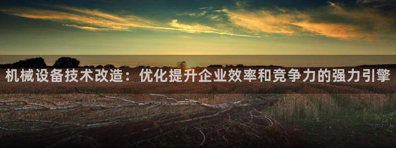 今年会金年会：机械设备技术改造：优化提升企业效率和竞争力的强力引擎