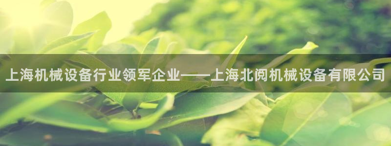 金年会黑平台不给出款：上海机械设备行业领军企业——上海北阅机械设备有限公司