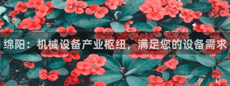 金年会体育app下载官网安卓：绵阳：机械设备产业枢纽，满足您的设备需求
