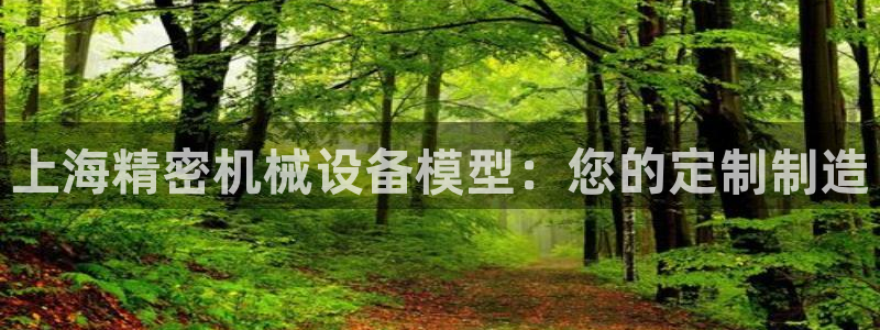 金年会是什么平台：上海精密机械设备模型：您的定制制造