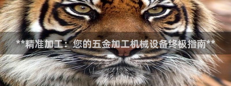 金年会官方在线入口网址查询：**精准加工：您的五金加工机械设备终极指南**