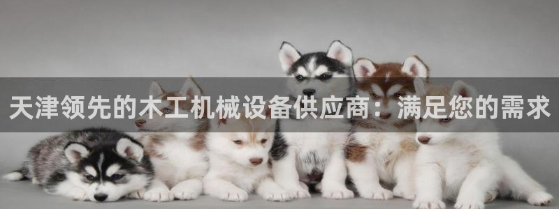金年会网站提现一直显示审核当中怎么办：天津领先的木工机械设备供应商：满足您的需求