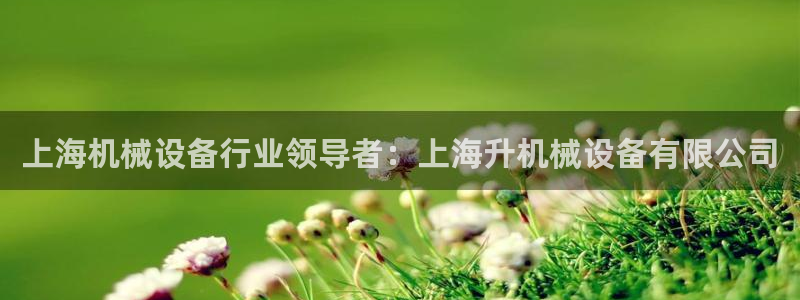 金年会下载官方网站：上海机械设备行业领导者：上海升机械设备有限公司