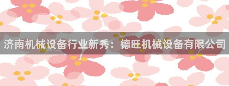 金年会平台官网：济南机械设备行业新秀：德旺机械设备有限公司