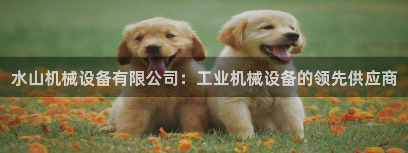 金年会体育app官网下载：水山机械设备有限公司：工业机械设备的领先供应商