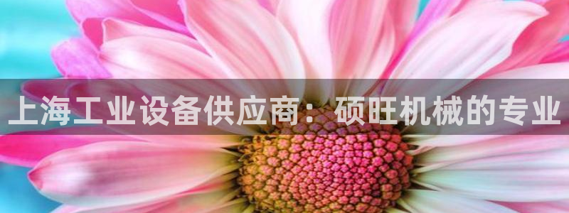 金年会登录网址：上海工业设备供应商：硕旺机械的专业