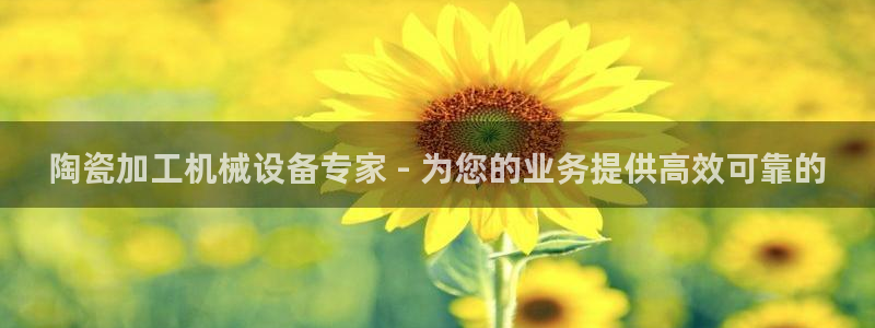 金年会网站入口登录：陶瓷加工机械设备专家 - 为您的业务提供高效可靠的