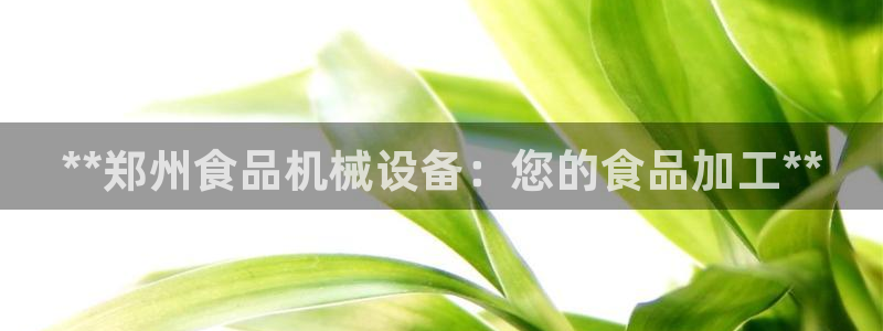 金年会pp电子：**郑州食品机械设备：您的食品加工**