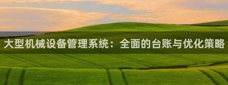 金年会体育app最新官网下载：大型机械设备管理系统：全面的台账与优化策略