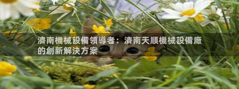 金年会app下载官网登录不了：濟南機械設備領導者：濟南天順機械設備廠
的創新解決方案