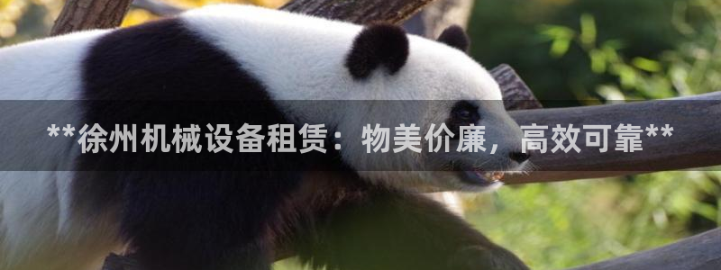 金年会手机版官方网站：**徐州机械设备租赁：物美价廉，高效可靠**