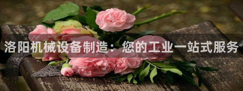金年会信誉至上金字招牌：洛阳机械设备制造：您的工业一站式服务
