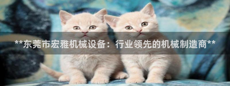 金年会体育如何：**东莞市宏雅机械设备：行业领先的机械制造商**