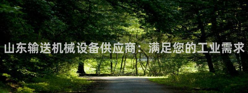 金年会体育在线：山东输送机械设备供应商：满足您的工业需求