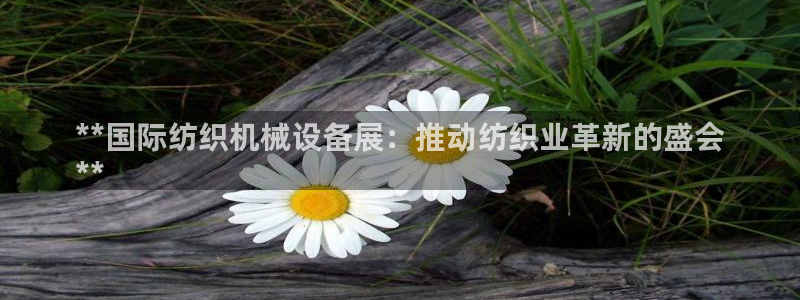 金年会黑不黑：**国际纺织机械设备展：推动纺织业革新的盛会
**