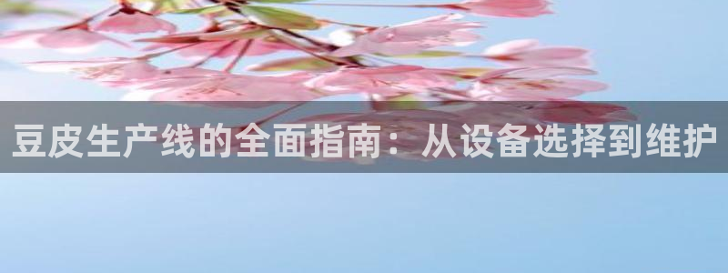 金年会官方入口app：豆皮生产线的全面指南：从设备选择到维护