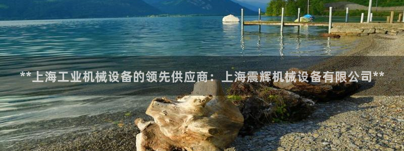 金年会体育刑事拘留常见：**上海工业机械设备的领先供应商：上海震辉机械设备有限公司**
