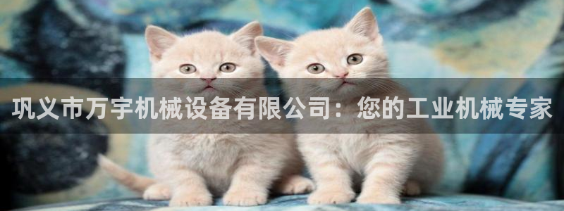 金年会官方体育登陆入口