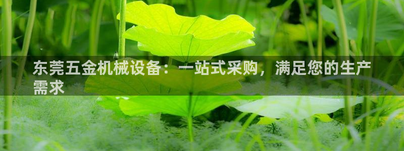 金年会jinnian体育下载app