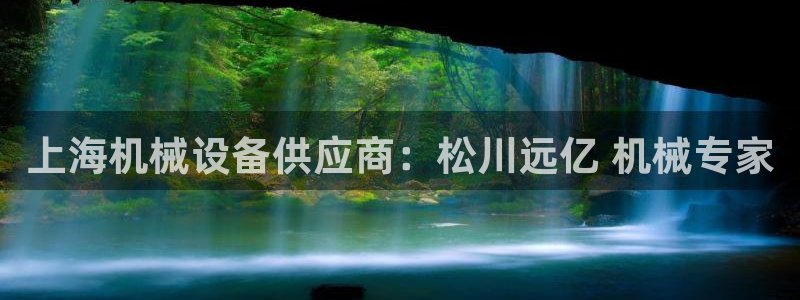 金年会下载中心：上海机械设备供应商：松川远亿 机械专家