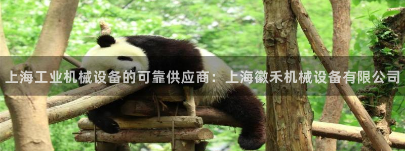 金年会体育信誉怎么样：上海工业机械设备的可靠供应商：上海徽禾机械设备有限公司