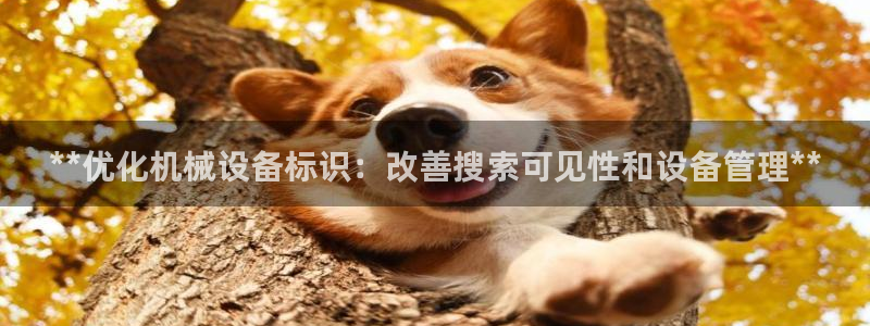金年会金字招牌信誉至上365：**优化机械设备标识：改善搜索可见性和设备管理**