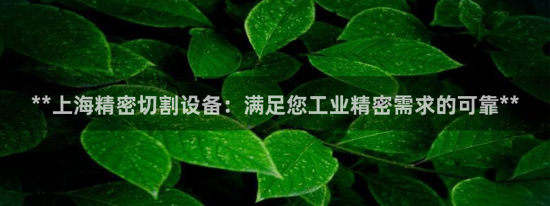 金年会官方体育：**上海精密切割设备：满足您工业精密需求的可靠**